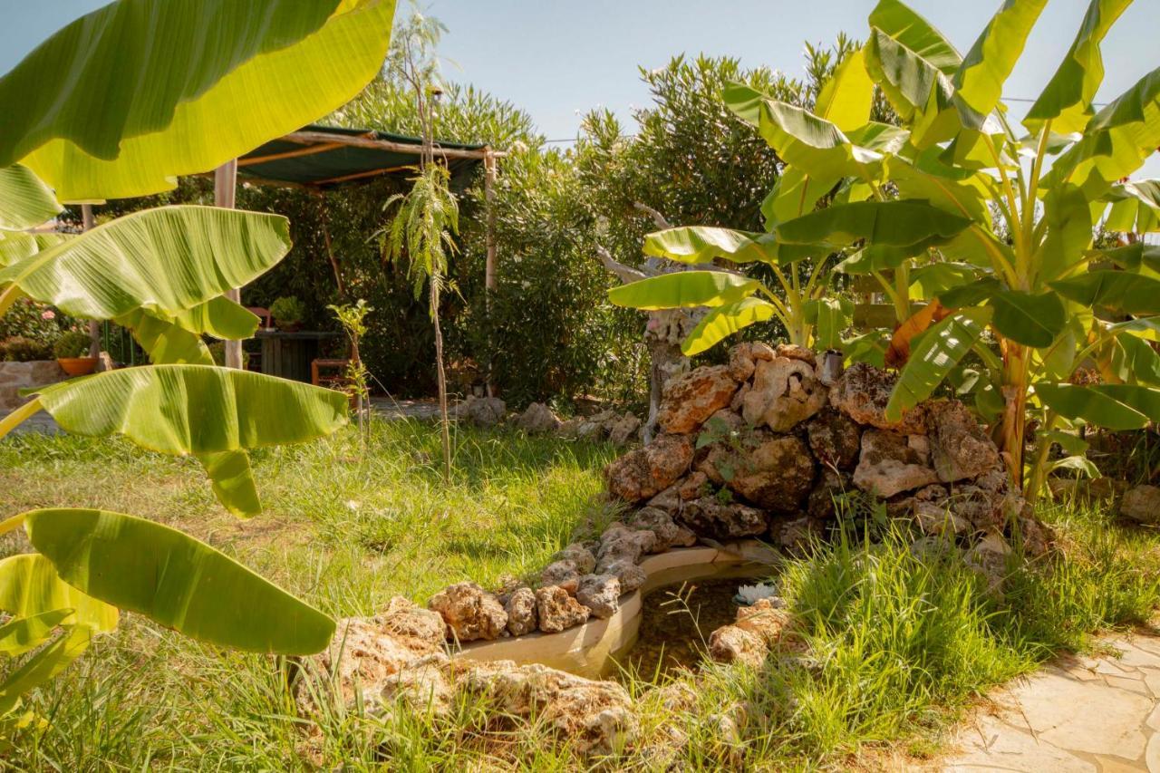 Harmony Corfu Apartments & Studios Eksteriør billede