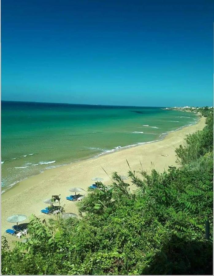 Harmony Corfu Apartments & Studios Eksteriør billede