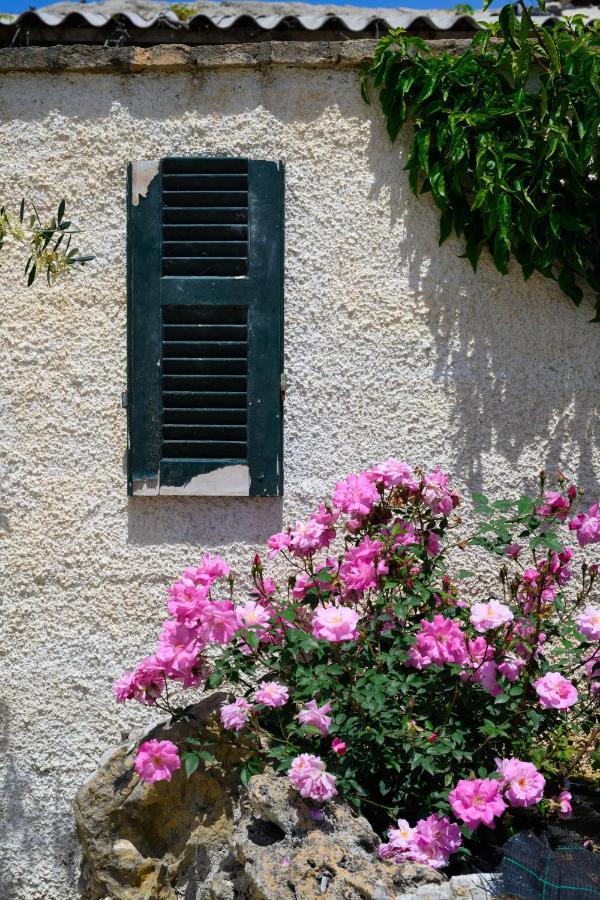 Harmony Corfu Apartments & Studios Eksteriør billede