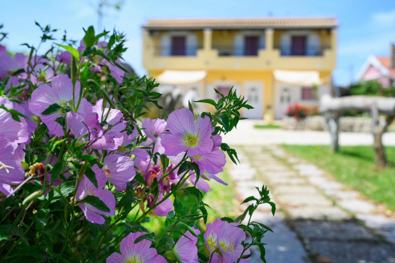 Harmony Corfu Apartments & Studios Eksteriør billede